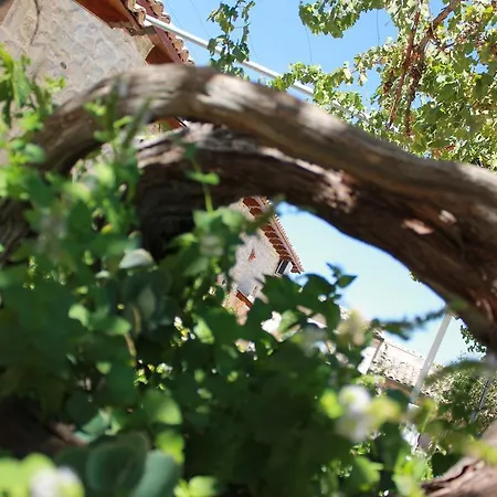 Le Due Palme Farm stay *